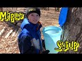 Making Maple Syrup! At the Lagacy Family Farm