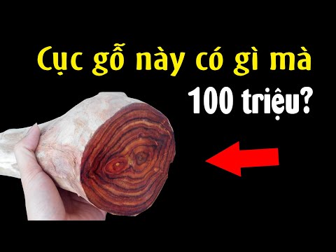 Video: Thông tin về cây gỗ đỏ - Sự thật thú vị về cây gỗ đỏ