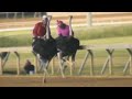 Wackiest, weirdest videos of 2017 Strangest videos of the year.