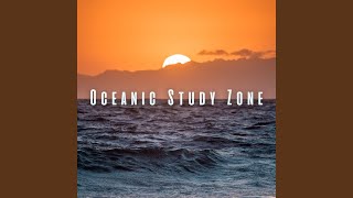 Study Zone