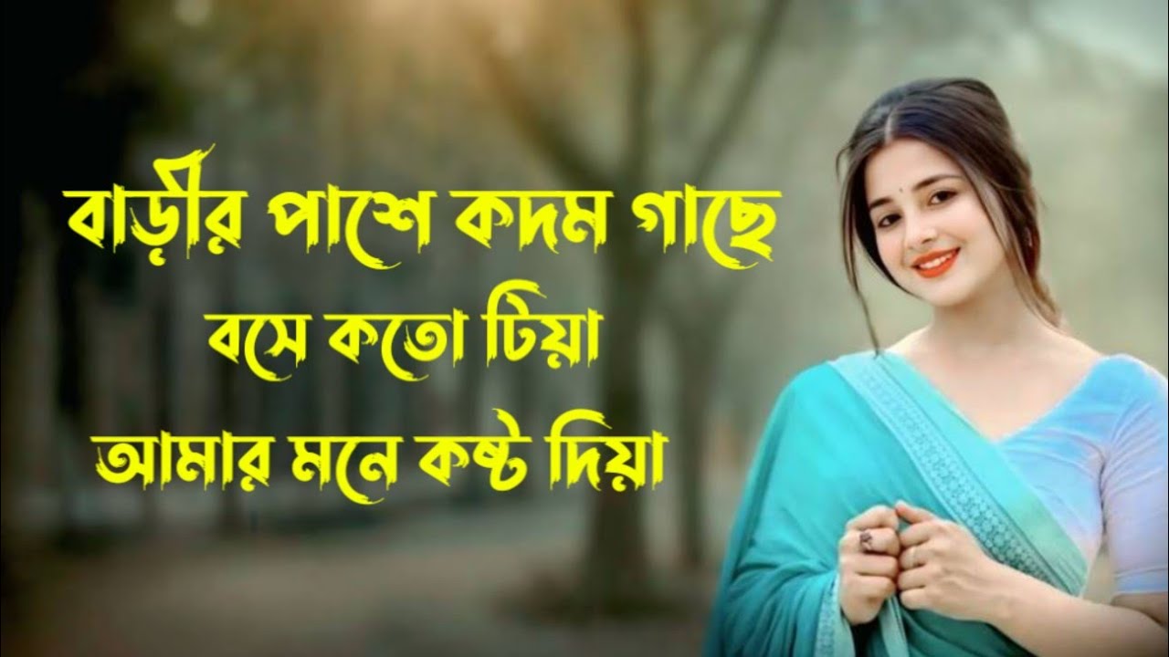 বাড়ীর পাশে কদম গাছে বসে কতো টিয়া ||BarirPase Kodam Gache ||কি অপরাধ পাইয়া বন্ধু রে (Lofi song)