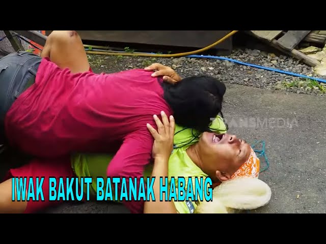 IWAK BAKUT BATANAK HABANG | JEJAK SI GUNDUL (29/02/24) class=