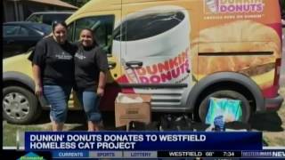 Westfield Homeless Cat Project 7/24/16 WGGBDT2 SPFLD