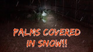 Dallas Texas Blizzard 1/19/2019