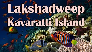 Kavaratti Island - A Natural Wonder in Lakshadweep