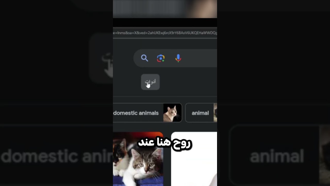 كيف تآخذ كل صورة بدون خلفية😲‼ #شورت #shorts #short  #programming #برمجة #شورتس #تصميم