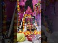 Janmashtami pooja
