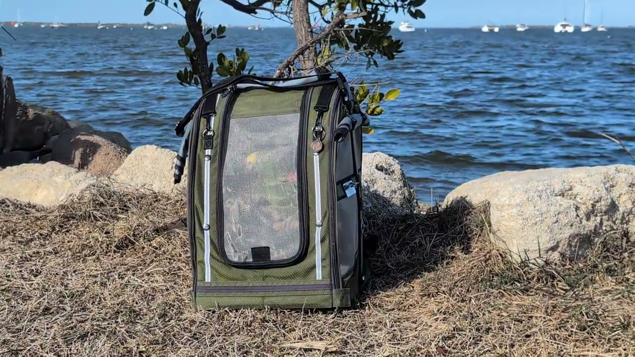 Freedom the Parrot Excited to Visit Indian River at Sand Point Park! Titusville, Florida 