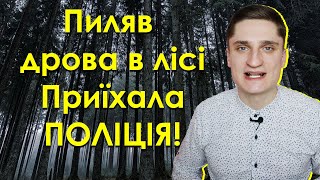 Пиляв дрова в лісі - приїхала поліція! Що робити?