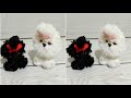 🐶ÇOK KOLAY MİNYATÜR PARMAK KÖPEK -VERY EASY MINIATURE FINGER DOG-KENDİNYAP - DIY-RECYCLE-İDEA