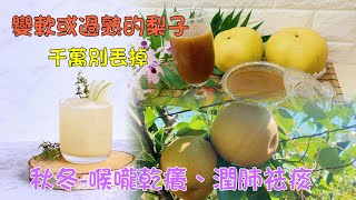 【＃秋冬養生】--低GI不加糖｜感冒咳嗽#潤肺止咳｜養血補氣安神 消除疲勞、增強智力 改善睡眠品質｜補充膳食纖維緩解便秘｜ healthy pear juice