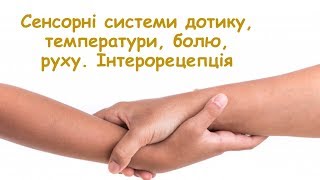 Сенсорні системи руху, дотику, температури, болю