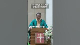 Download lagu THE DIFFICULTY OF GETTING MARRIED IN THE CATHOLIC CHURCH | Father Eko Wahyu OSC #catholicchurch #...