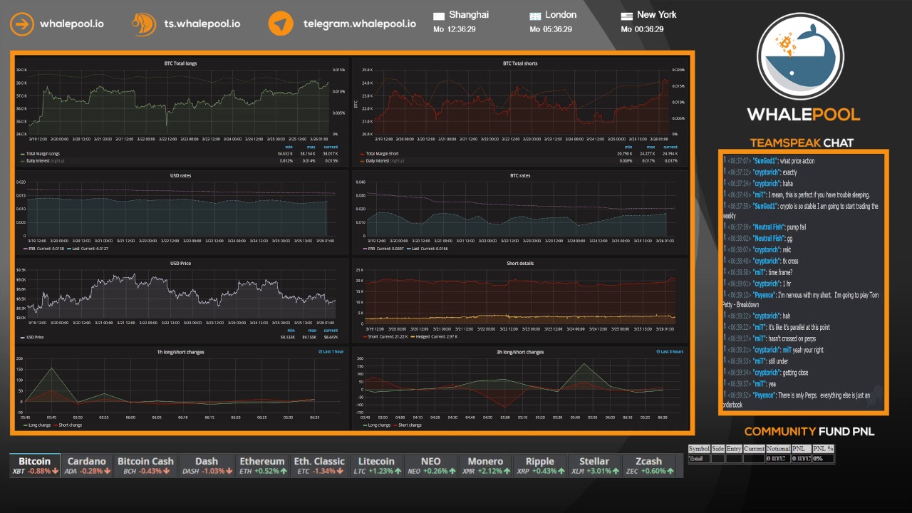 Whalepool live bitcoin cryptocurrency trading stream 24 7 365
