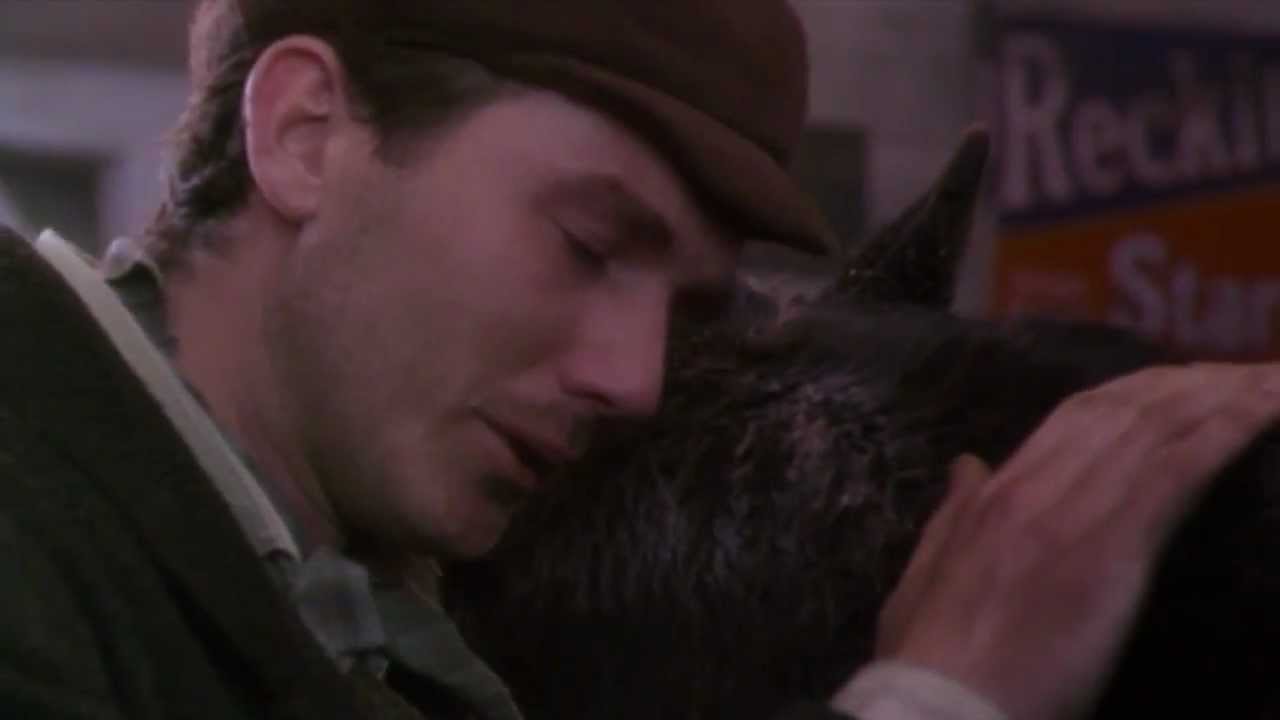 Black Beauty - Don't Want To Lose You (Julie Thiel)