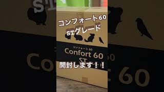 KAWAIコンフォート60STグレード開封します【うさぎのケージ】 #rabbit #rabbitlife