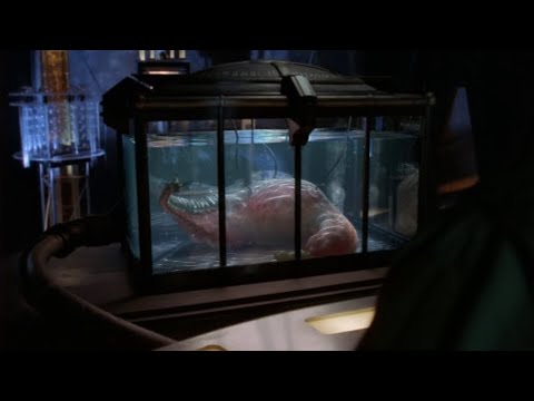 Stargate SG-1 - Season 7 - Evolution: Part 2 - Copycat Anubis / Daniel takes the initiative