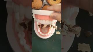 Download Mp3 Hungry Teeth Eats Chocolate Wafer #shortsvideo #funshorts #teeth #crushingit #hungryteeth Gudang lagu Download Mp3 Hungry Teeth Eats Chocolate Wafer #shortsvideo #funshorts #teeth #crushingit #hungryteeth