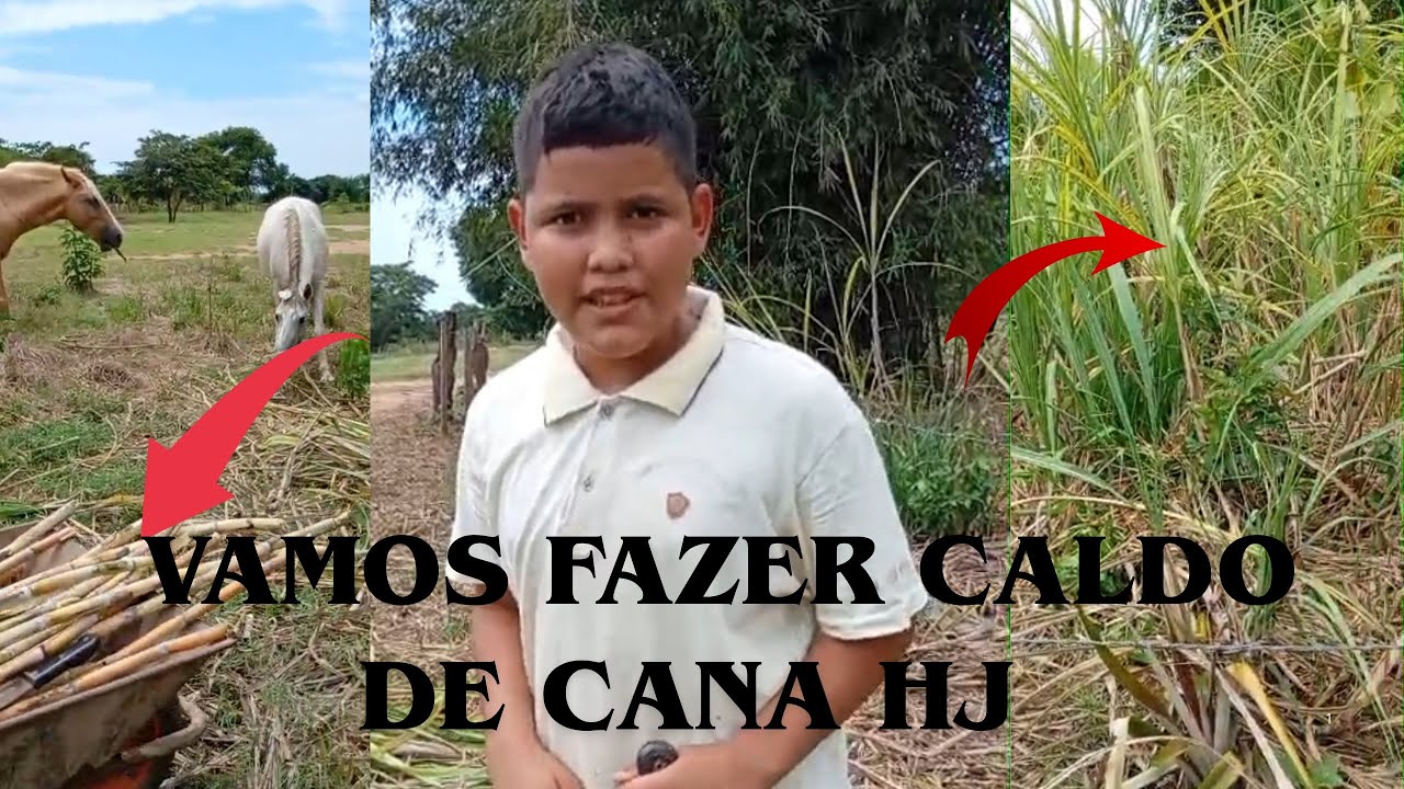 Meu dia no sítio. Fazendo caldo de cana 