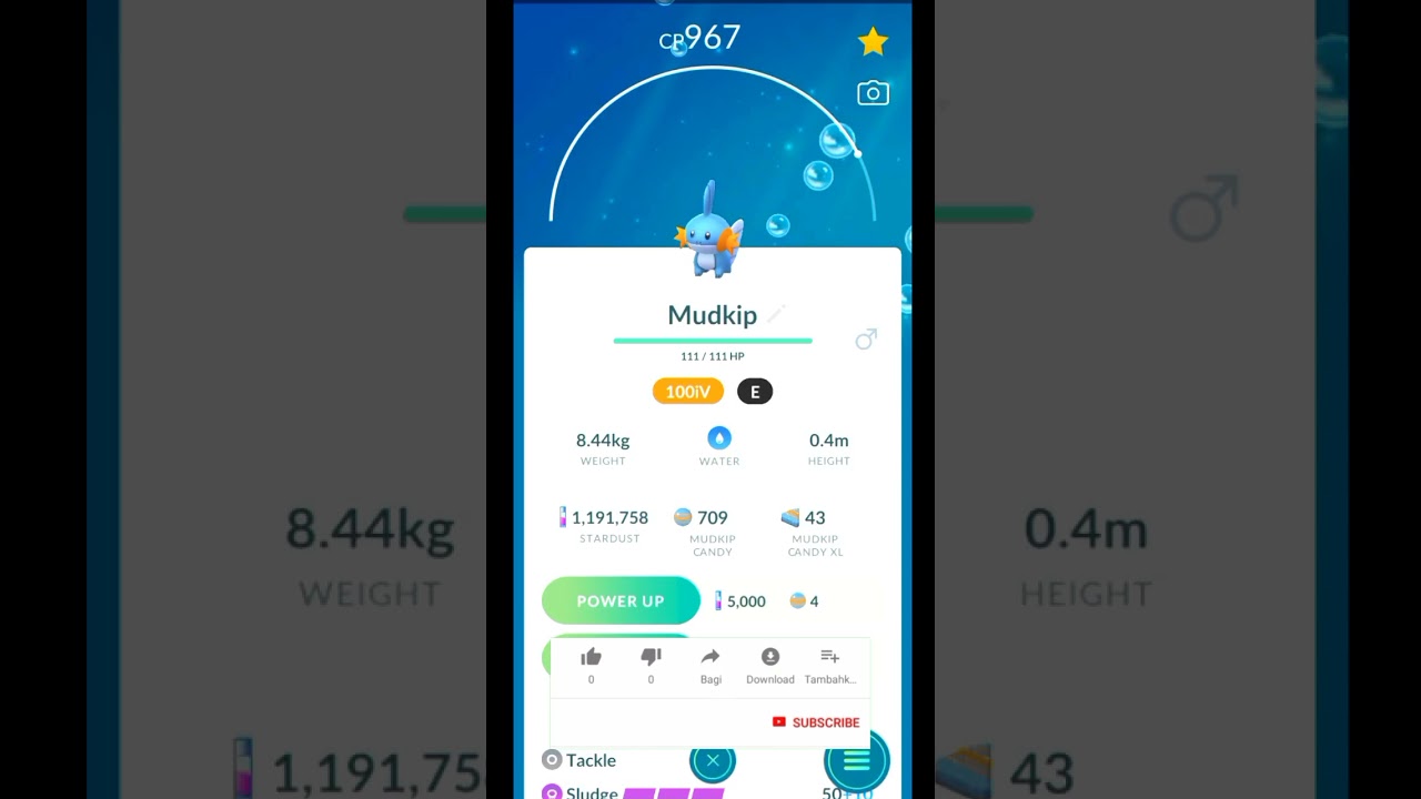 Hundo Pokemon Evolution 🤩 ! Hundo Mudkip !  Pokemon Go