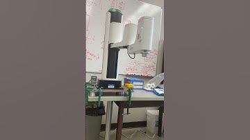 SCARA Robot In Action