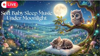Fall Asleep Fast 😴 Owl & Kitten Lullaby 🌙 Soft Baby Sleep Music Under Moonlight screenshot 2