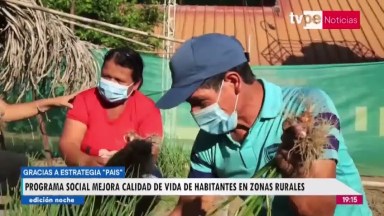 Programa PAIS contribuye a mejorar la calidad de vida en zonas rurales ...