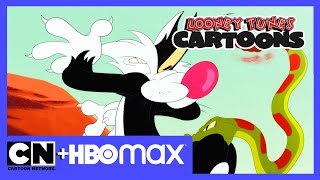 Looney Tunes Animáky Hladový Sylvester Cartoon Network