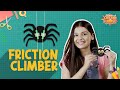 Wall Climbing Spider Quiz
