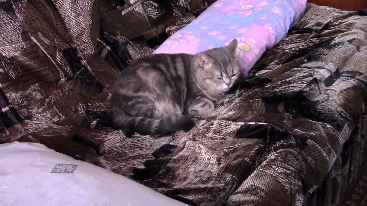 Test Canon Legria HF R406