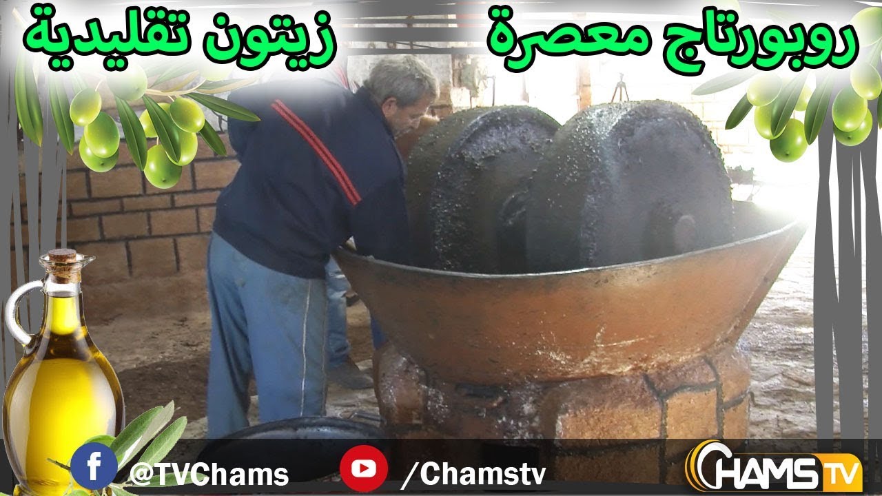 روبورتاج : معصرة زيتون تقليدية