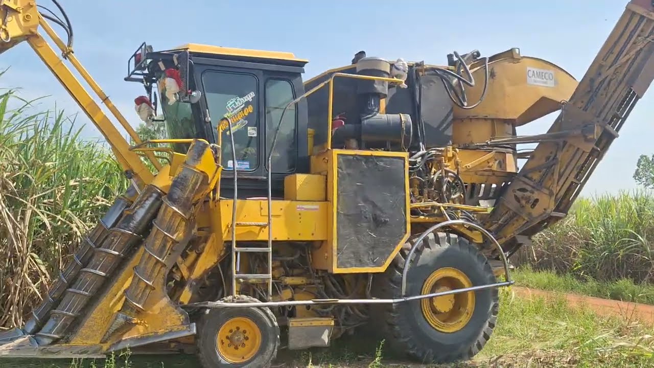 ยังหล่อจัดรถตัดอ้อยล้อยางเกือบๆสามสิบปี cameco ดั้มเดก้าตั้งรับ sugarcane harvaster