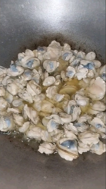 CARA MEMASAK KERANG AGAR TIDAK ALOT!