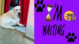 Bony Is Waiting 😔