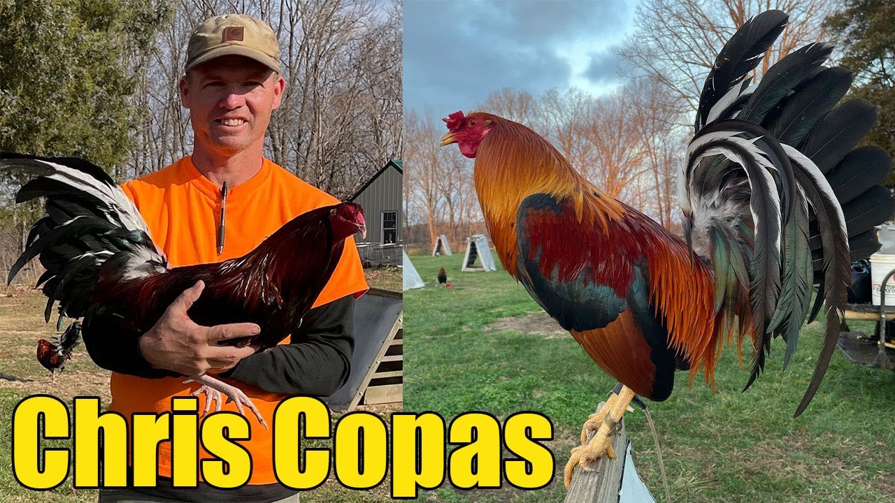 Chris Copas Kentucky Acres Farm YouTube
