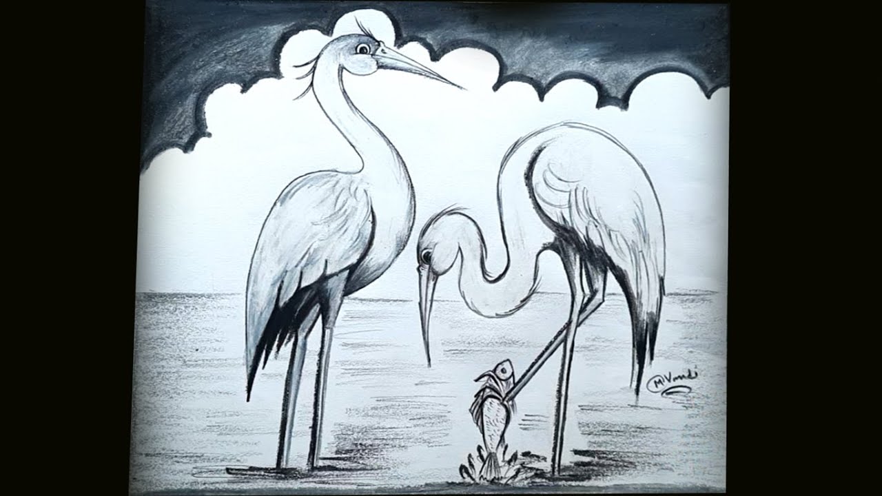 Crane Bird fishing scenery drawing easy | Egret Bird drawing | सारस का चित्र बनाना सीखें आसानी से