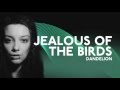 Jealous of the Birds: Dandelion (PRS Presents Belfast)