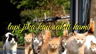 Quotes tentang kucing terbaru... bagus buat story WhatsApp