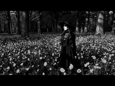 Ghost Shaped Man - Sanctuary of Scars