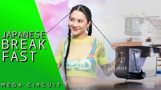 Japanese Breakfast ✧ Mega Circuit ✧ Vinyl