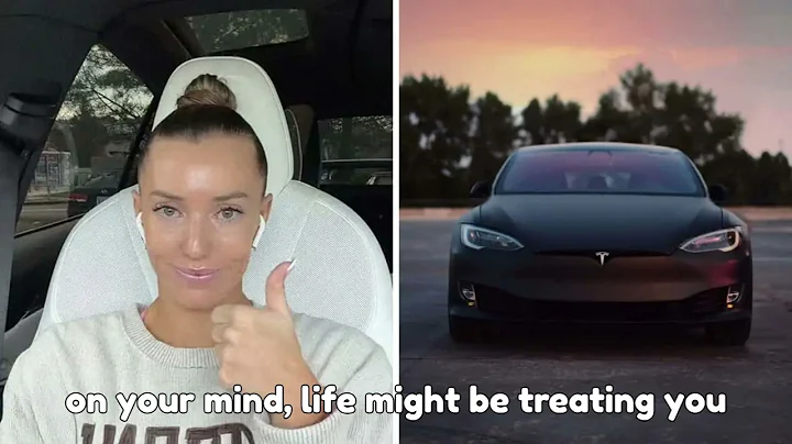 Tesla Window Tint Confusion Sparks 4 Day Door Drama Explained