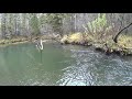 Рыбалка на таежной речке  Хороший клев хариуса на поплавочную снасть