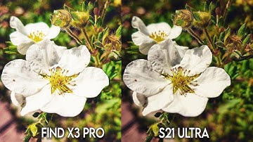 Oppo Find X3 Pro Vs Samsung S21 Ultra Camera Test