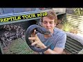 REPTILE HOUSE TOUR 2019