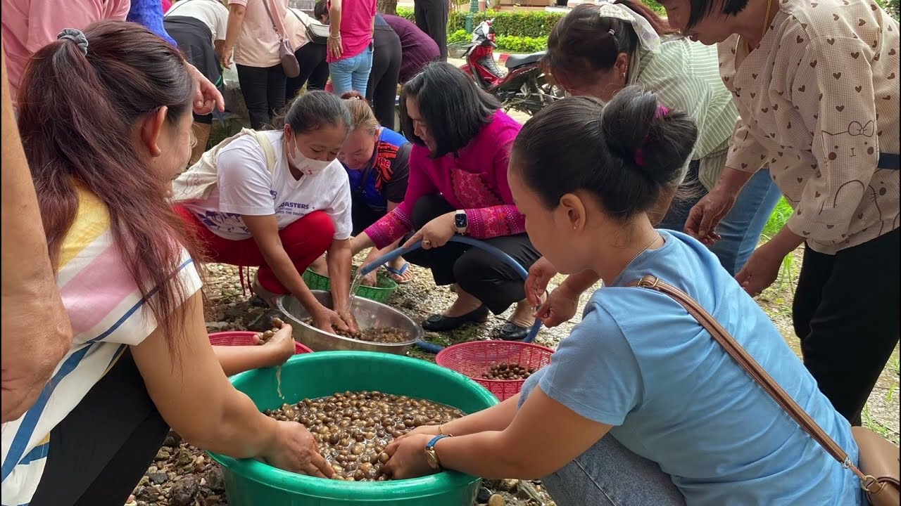 ประเมินเมืองสิ่งเเวดล้อมยั่งยืน พ.ศ. 2567 เทศบาลตำบลงิม