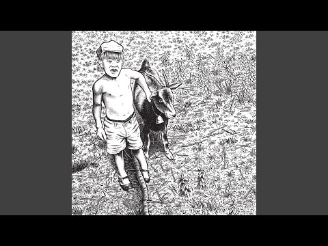 Lyvten — Alles Asche