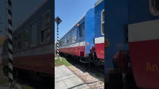 A train running through the heart of Quy Nhon city. #Vietnam #Travel #Shorts #viral #asia