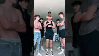 Full Vivid house tiktok Guide