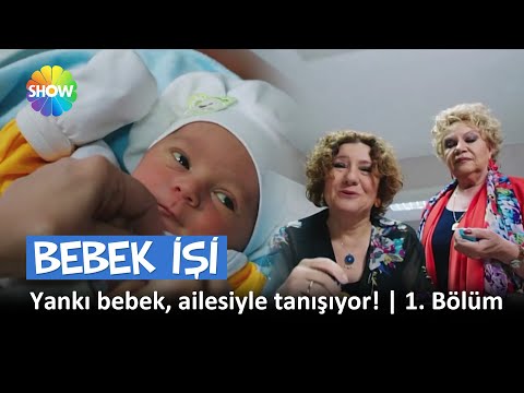 Yankı bebek, ailesiyle tanışıyor! | Bebek İşi 1. Bölüm