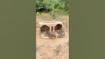 Best Bird Trap Technique - Quail Trap #simple bird trap using cardboard box #shorts